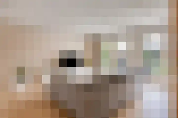 Dirigenthof 3 Nuenen thumbnail 5