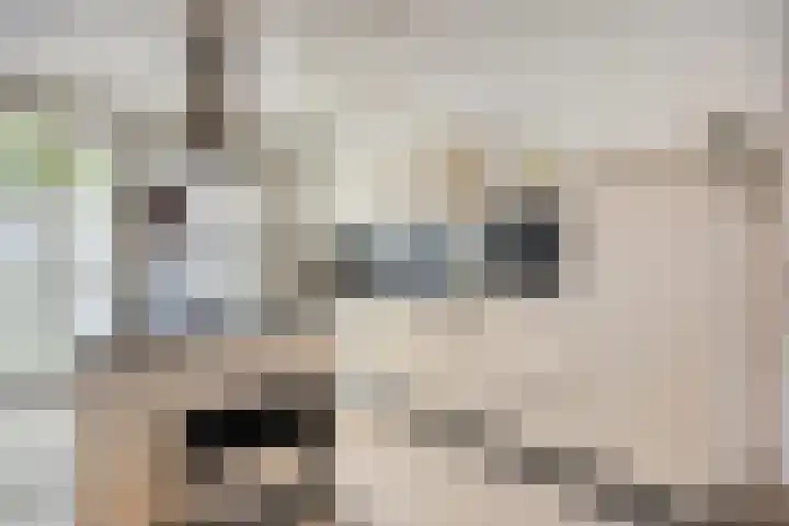 Dirigenthof 3 Nuenen thumbnail 8