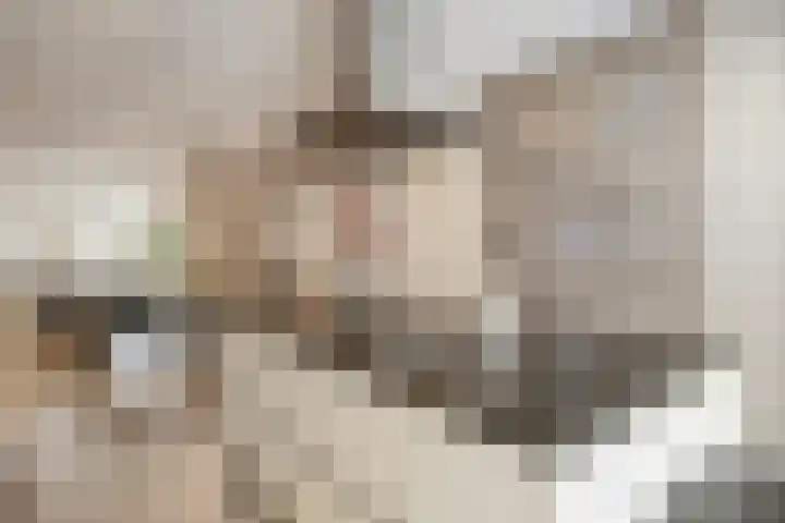 Dirigenthof 3 Nuenen thumbnail 9