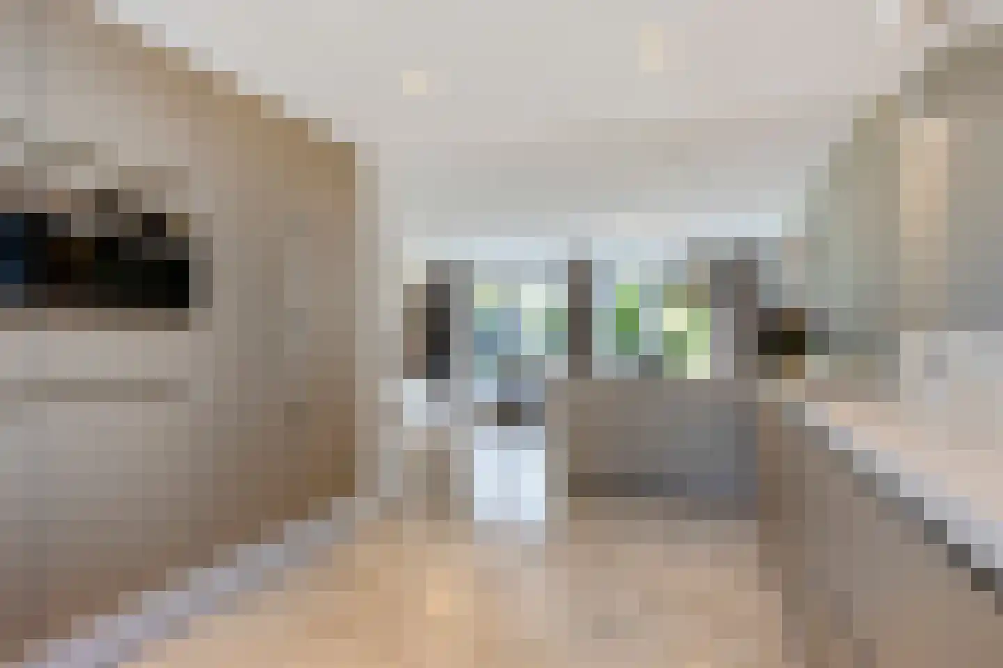 Dirigenthof 6 Nuenen thumbnail 12