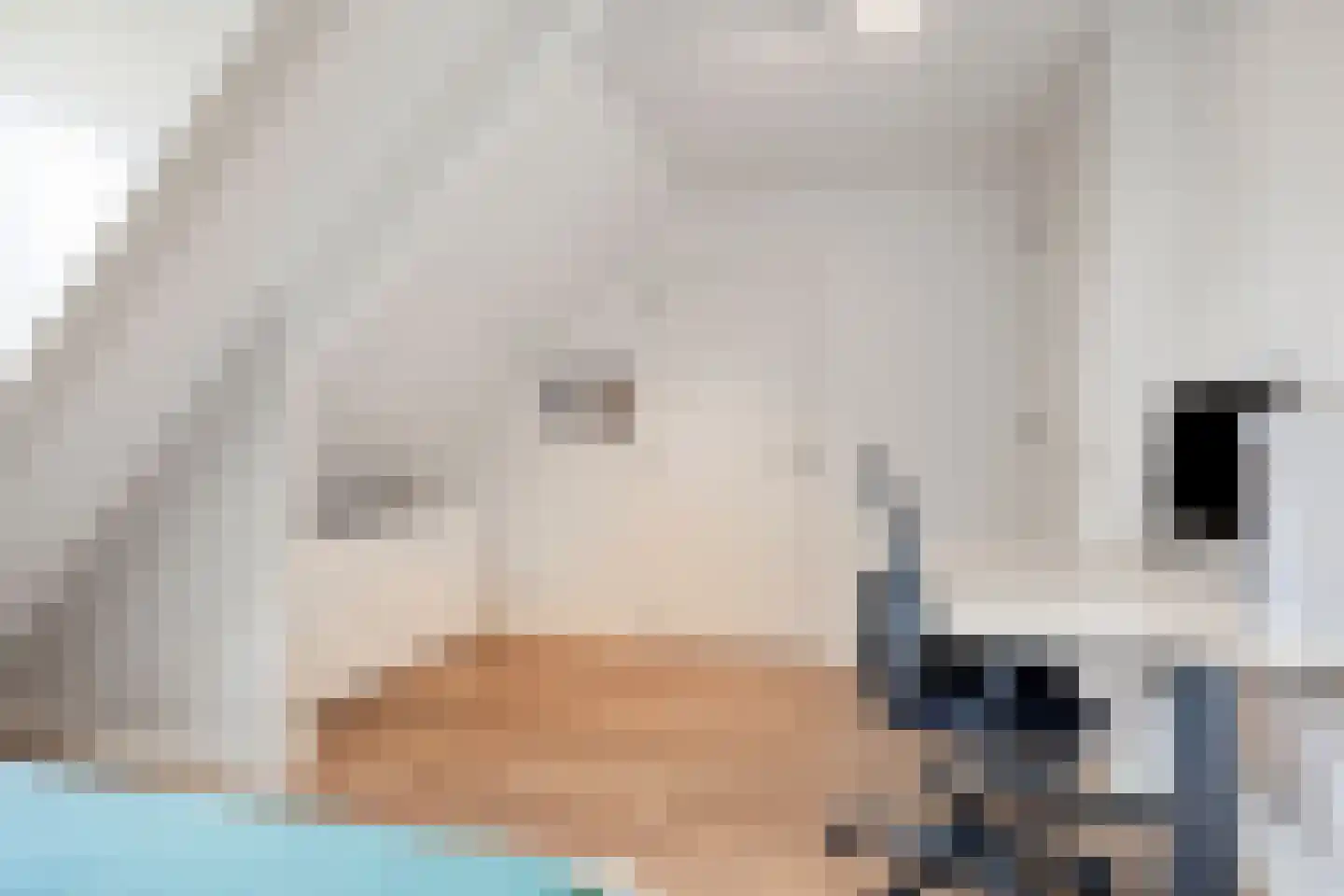 Dirigenthof 6 Nuenen thumbnail 30