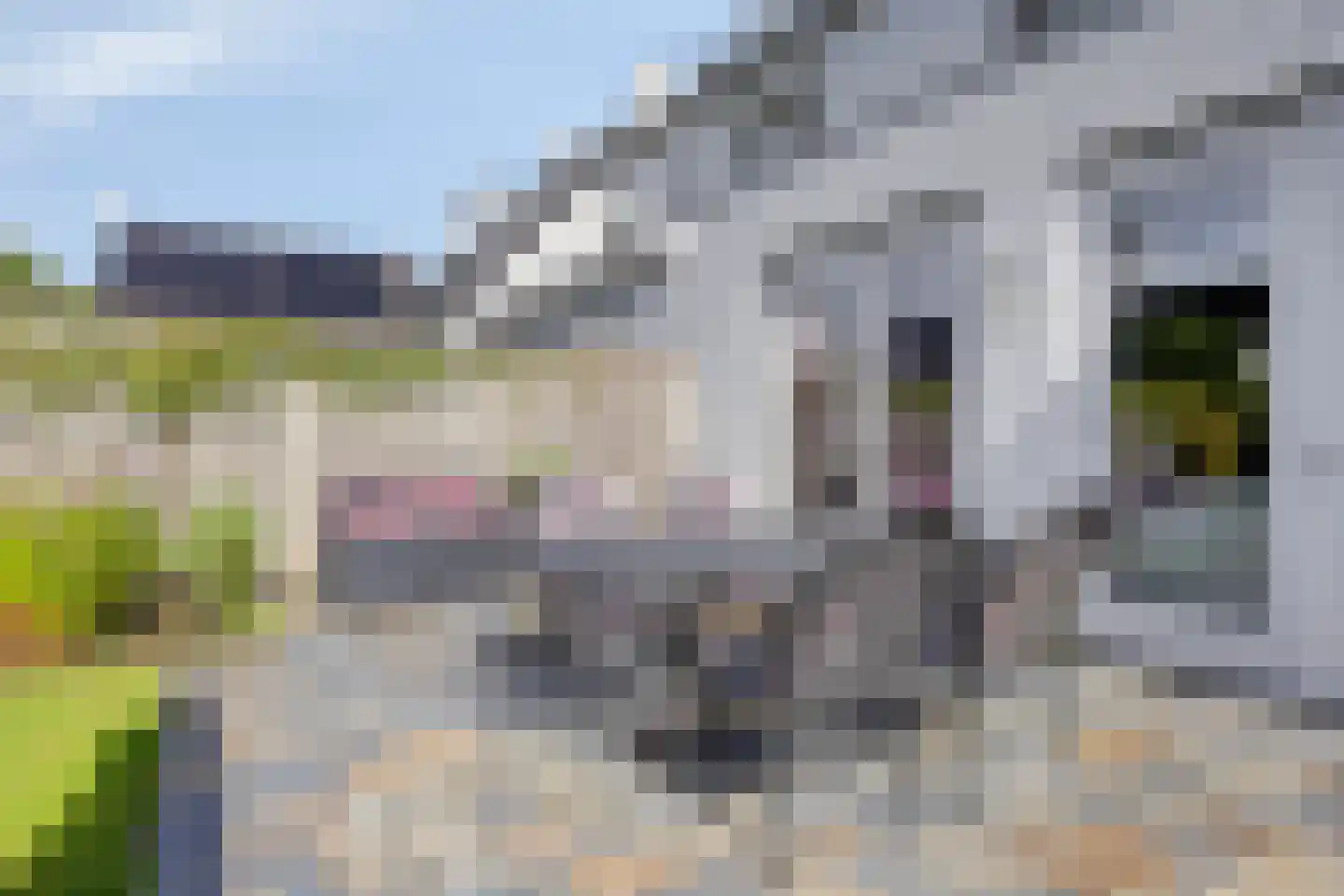 Dirigenthof 6 Nuenen thumbnail 35