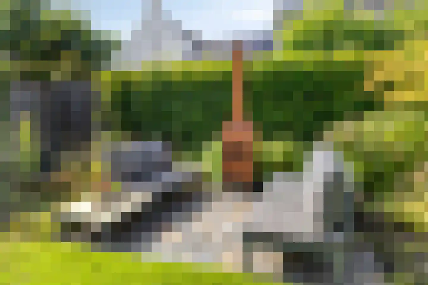 Dirigenthof 6 Nuenen thumbnail 36