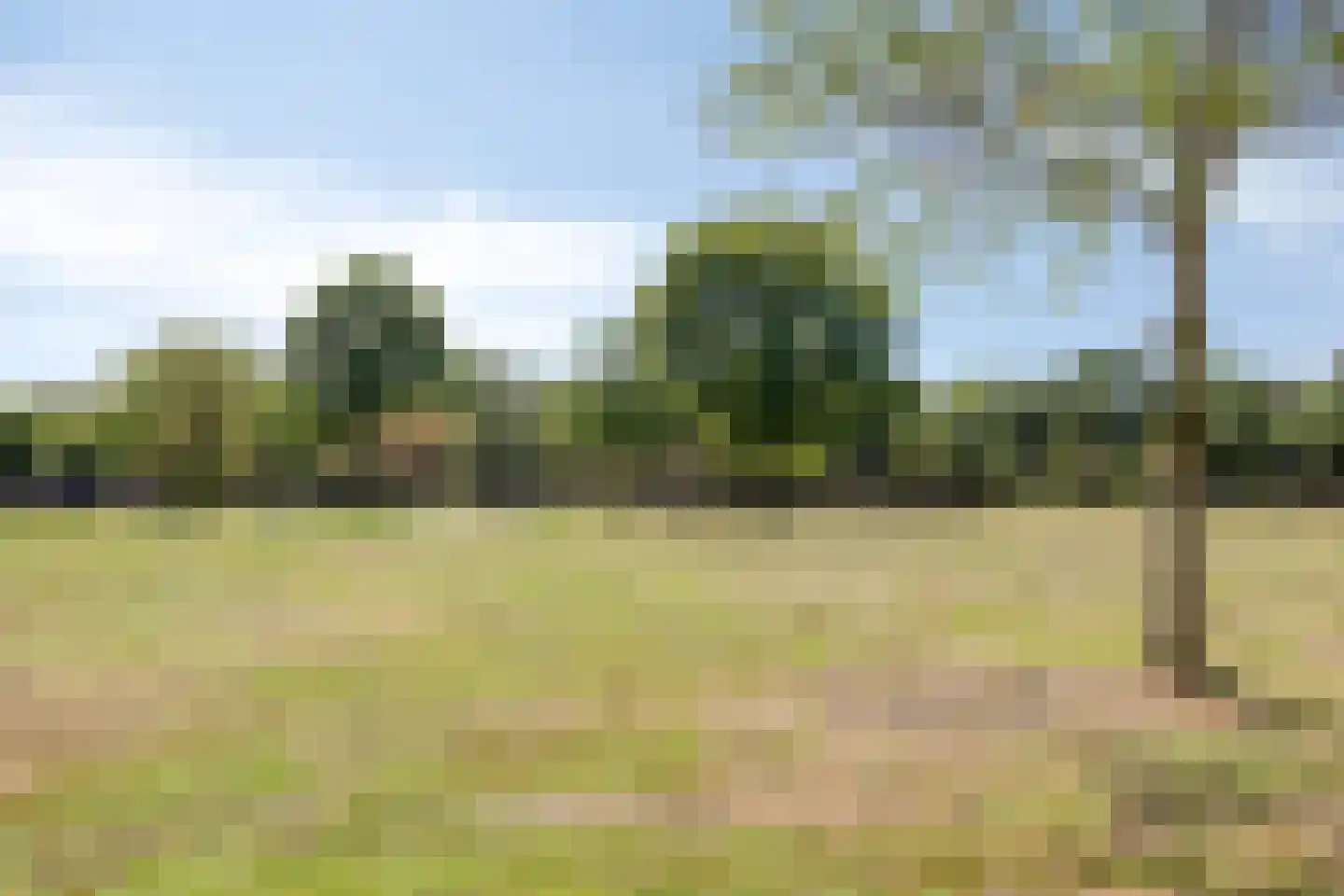 Dirigenthof 6 Nuenen thumbnail 38