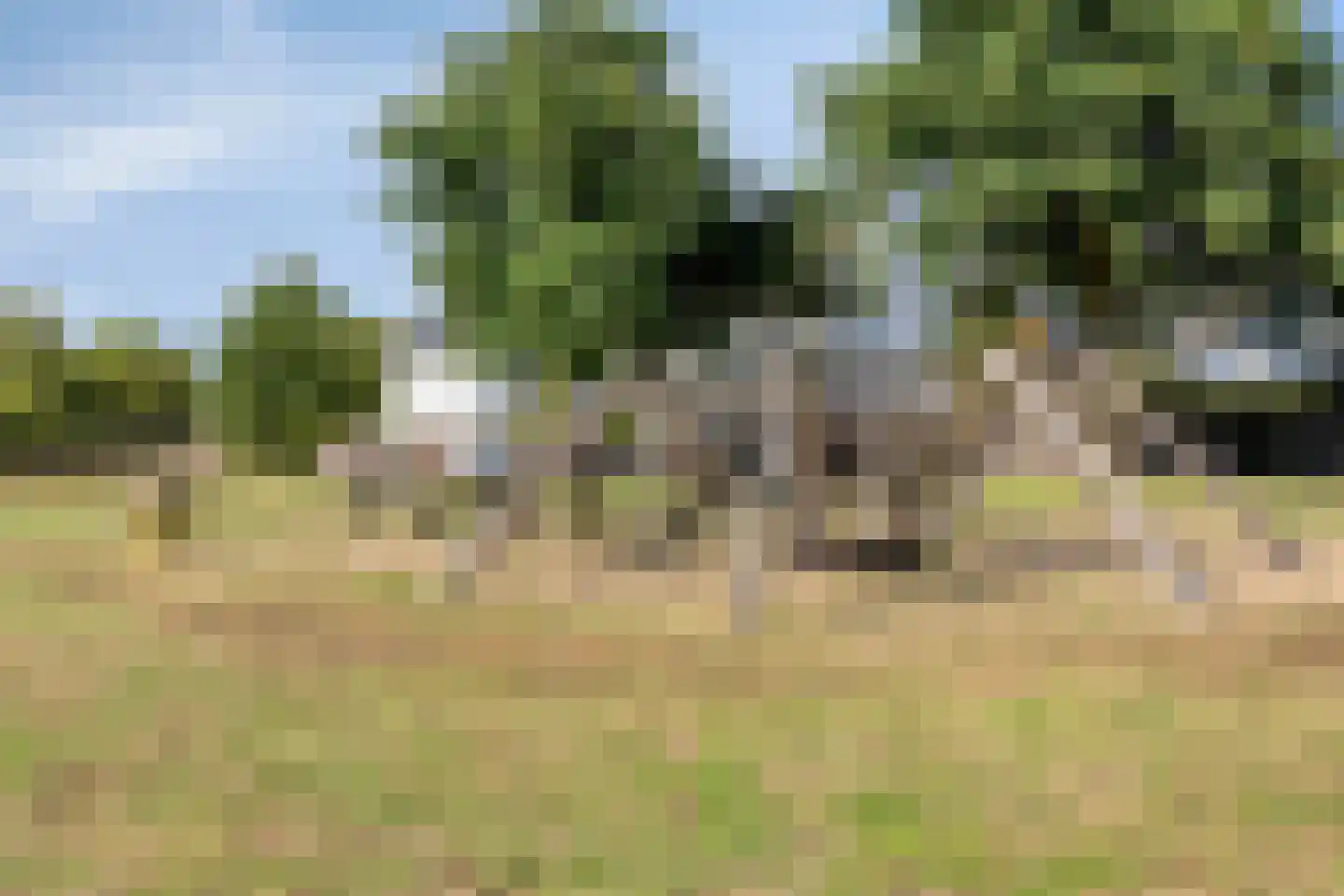 Dirigenthof 6 Nuenen thumbnail 39