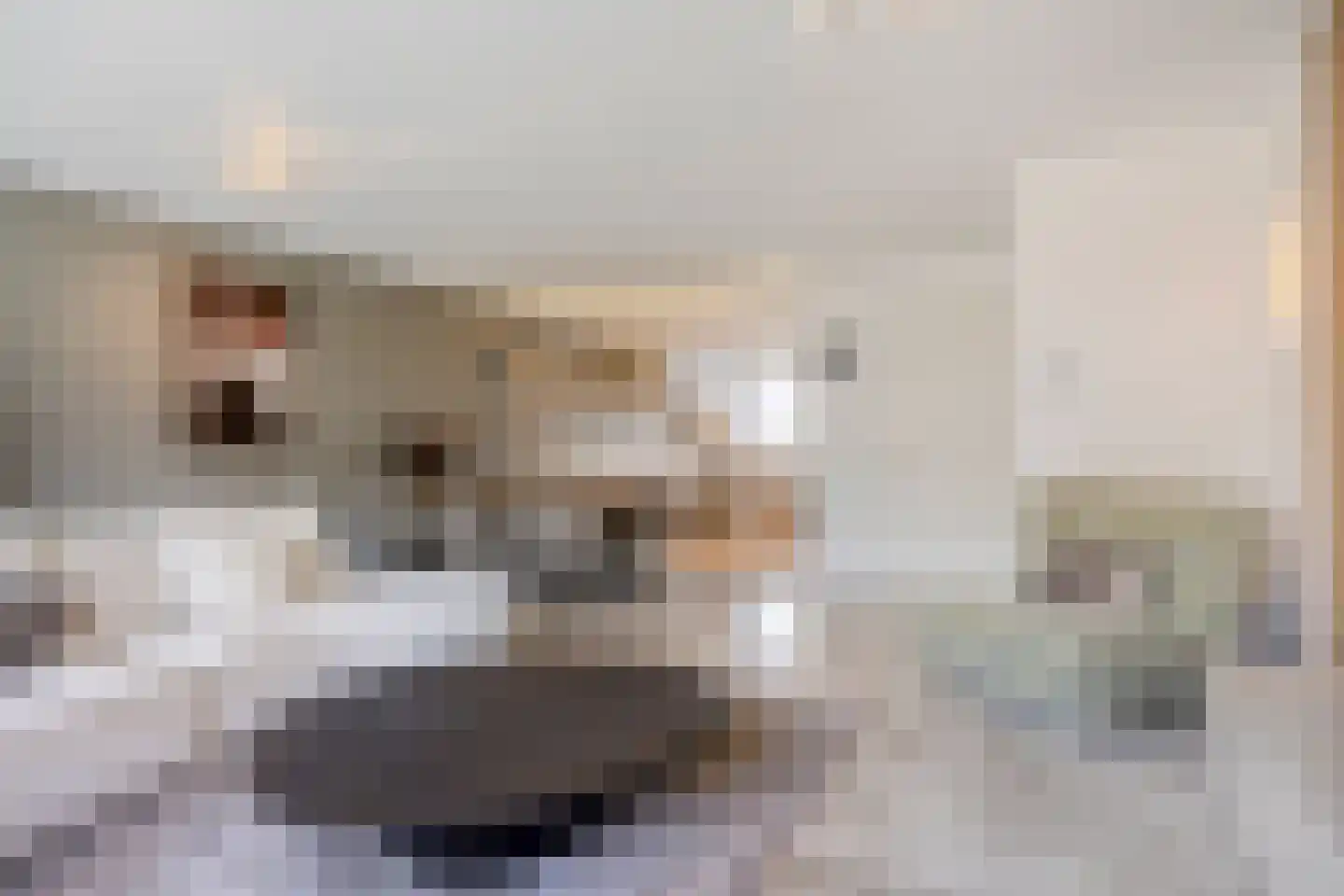Dirigenthof 6 Nuenen thumbnail 9