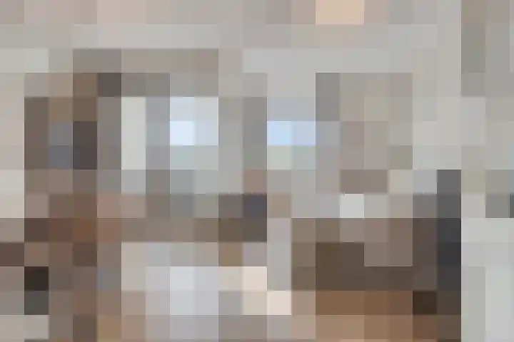 Dirigentplein 133 Eindhoven