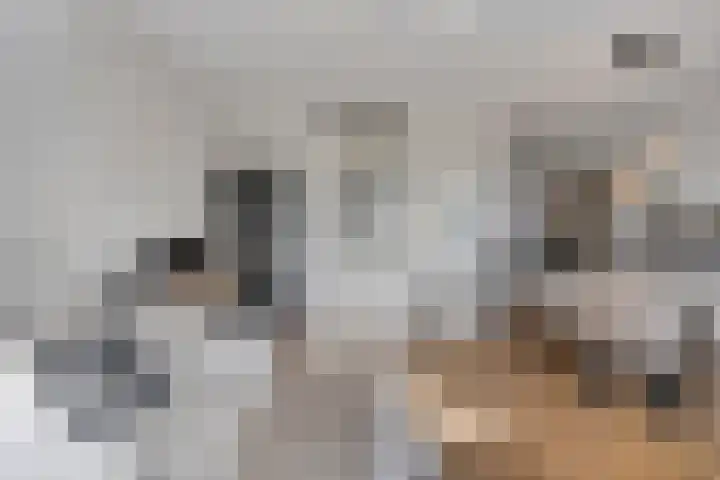 Dirigentplein 133 Eindhoven thumbnail 15