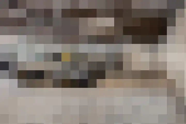 Dirigentplein 133 Eindhoven thumbnail 31