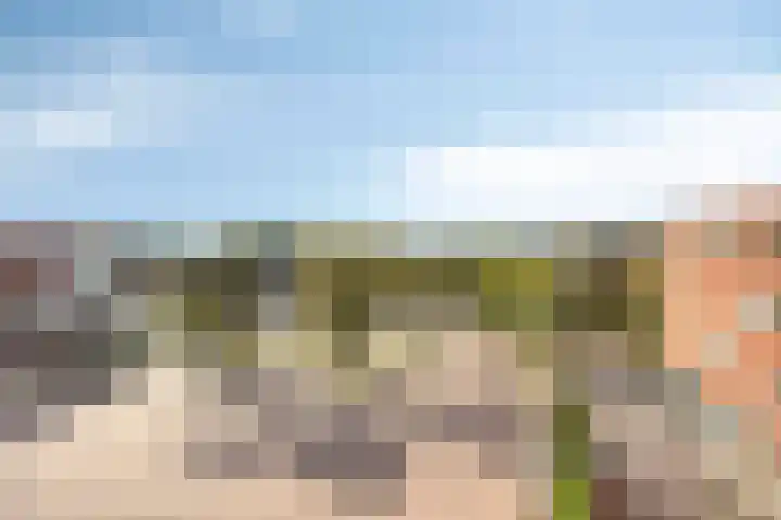 Dirigentplein 133 Eindhoven thumbnail 35