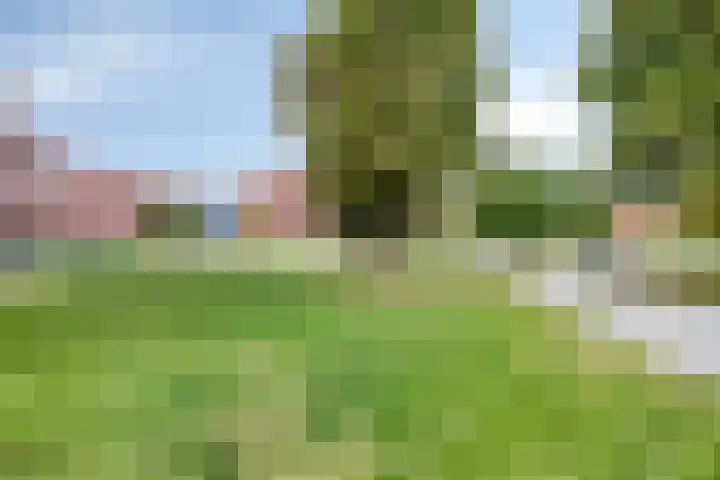 Dirigentplein 133 Eindhoven thumbnail 37