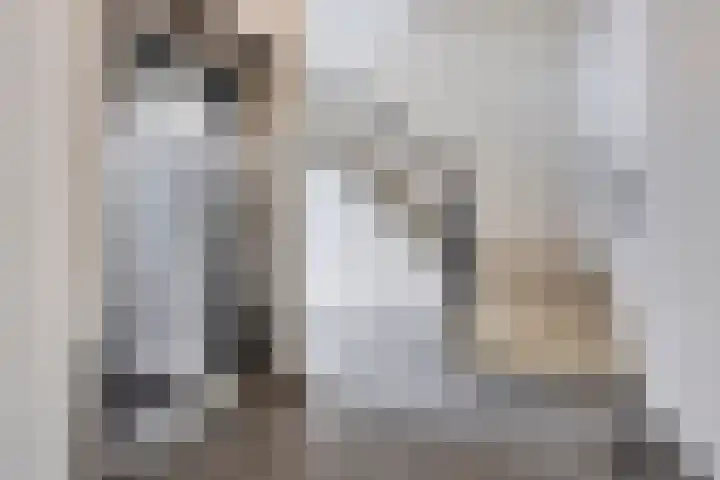 Dirigentplein 133 Eindhoven thumbnail 9