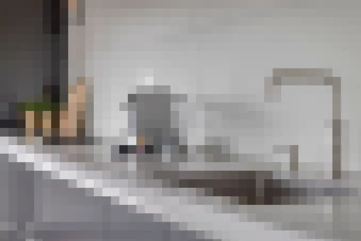 Dirigentplein 141 Eindhoven thumbnail 20