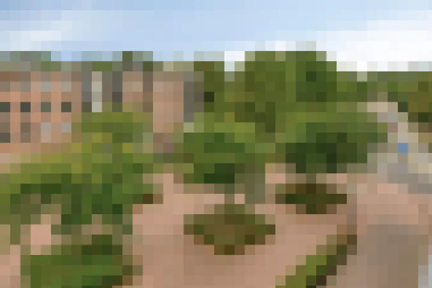 Dirigentplein 141 Eindhoven thumbnail 24