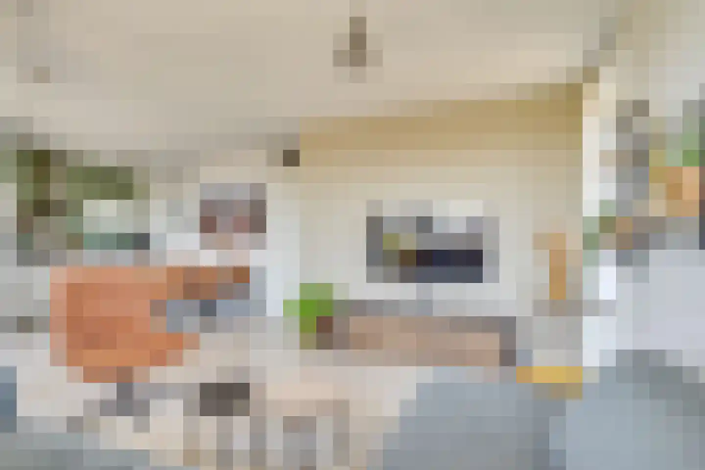 Dirigentplein 151 Eindhoven thumbnail 15