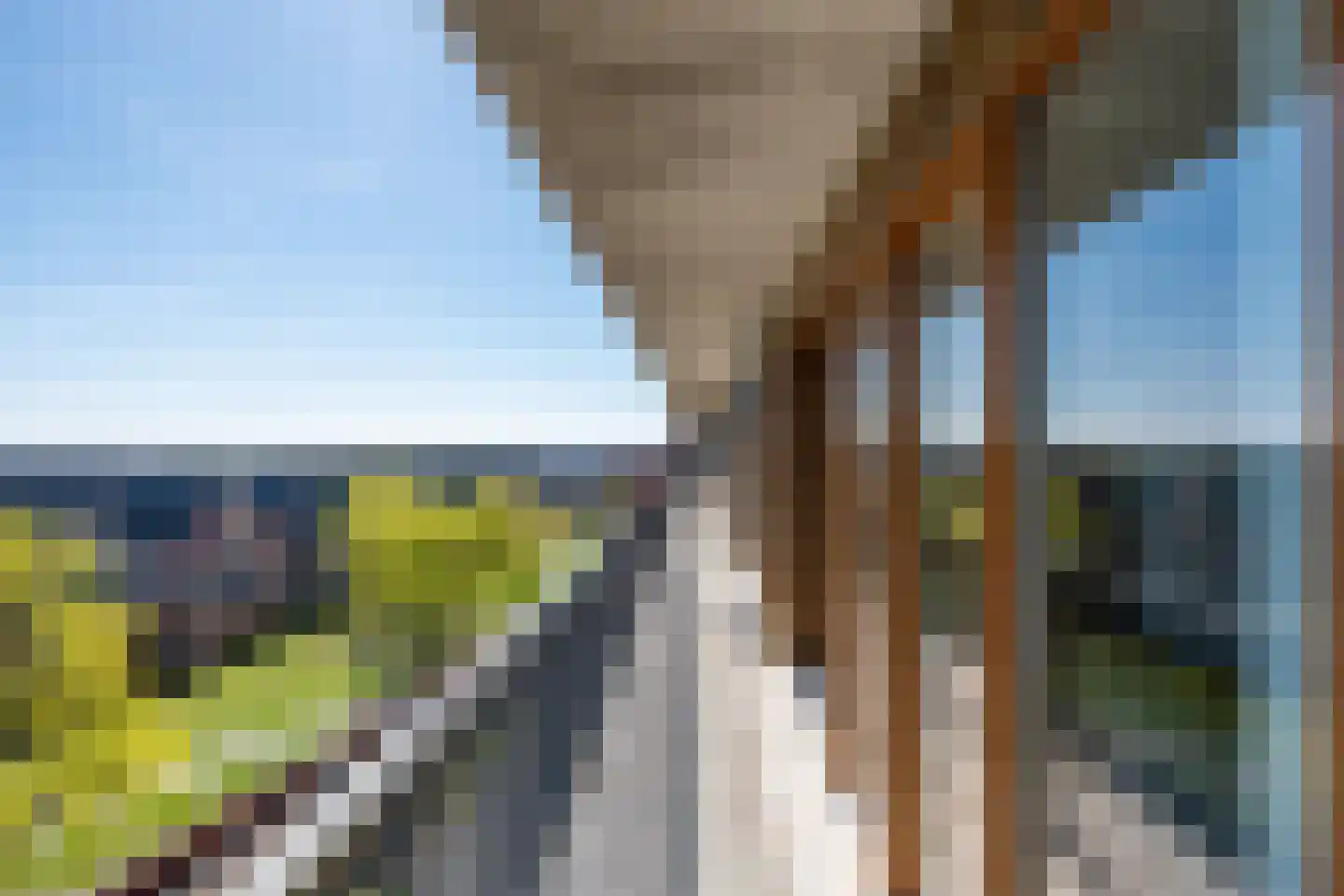 Dirigentplein 151 Eindhoven thumbnail 9