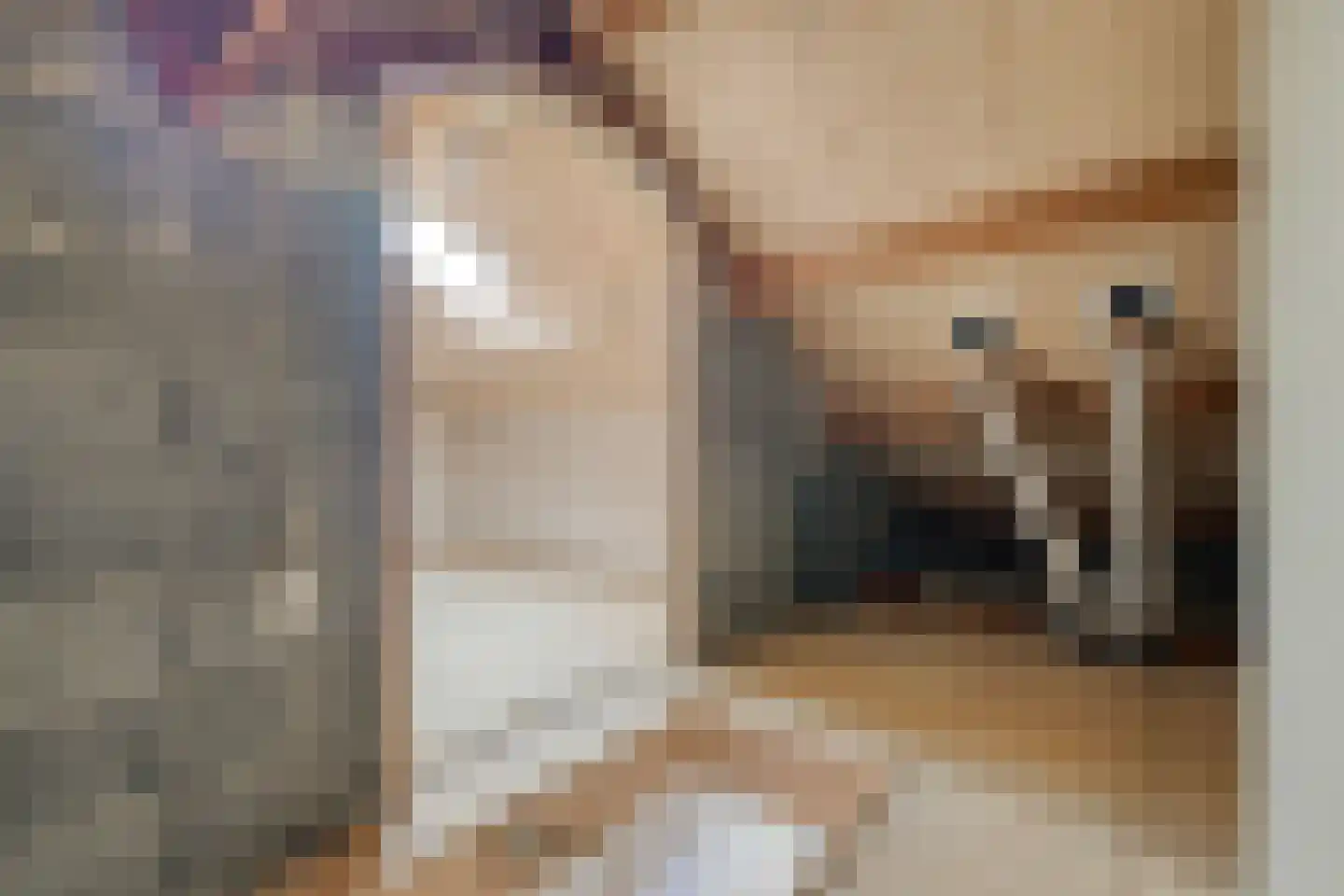 Dirk Abbesteelaan 6 Den Helder thumbnail 32