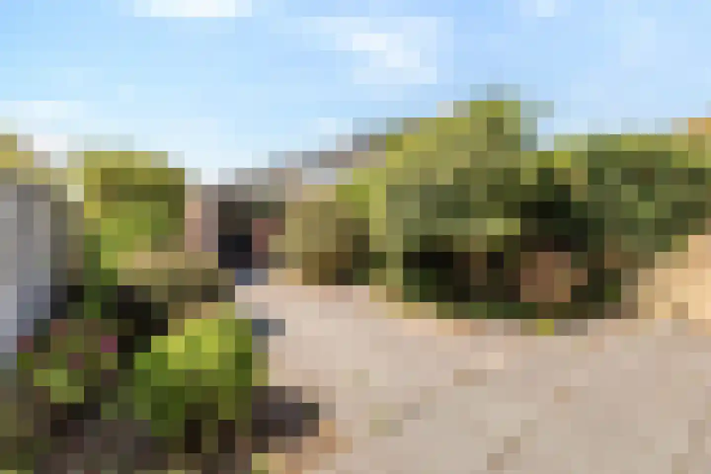 Dirk Abbesteelaan 6 Den Helder thumbnail 37