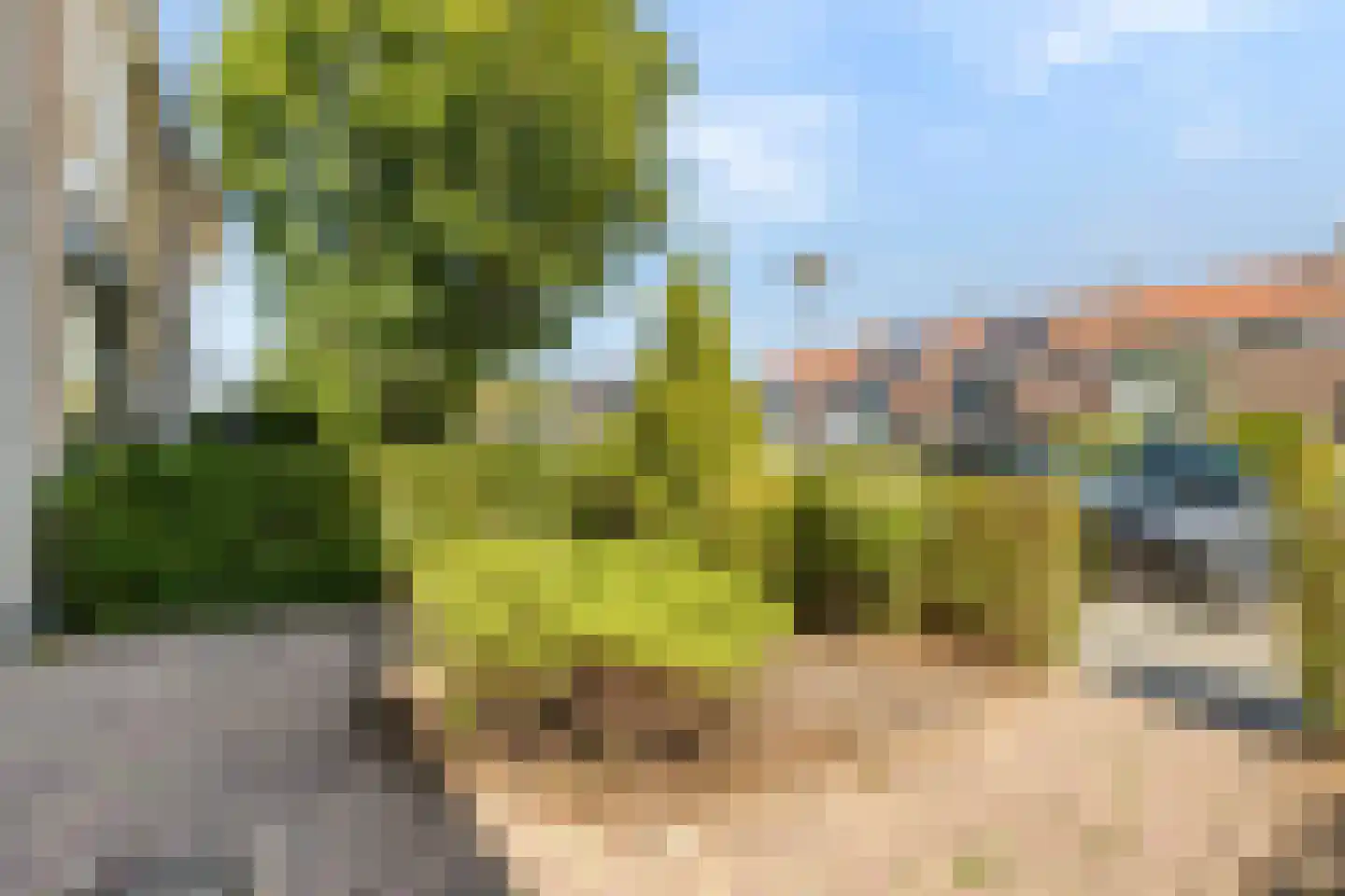 Dirk Abbesteelaan 6 Den Helder thumbnail 4