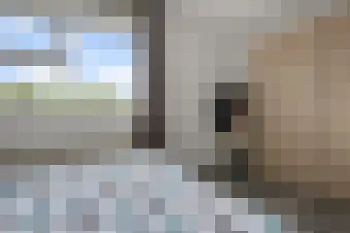 Dirk Bakkerhof 24 Heiloo thumbnail 12