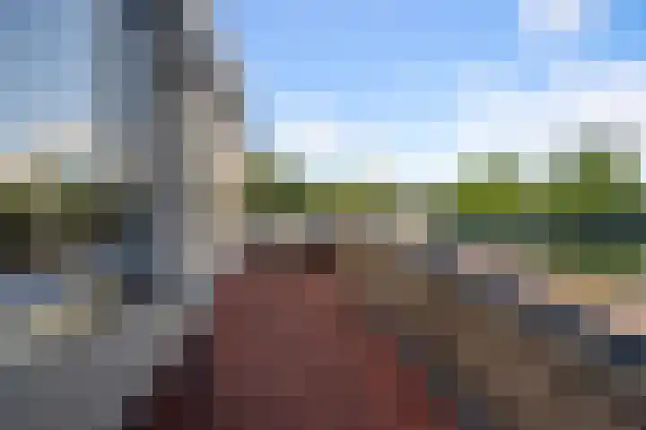 Dirk Bakkerhof 24 Heiloo thumbnail 19
