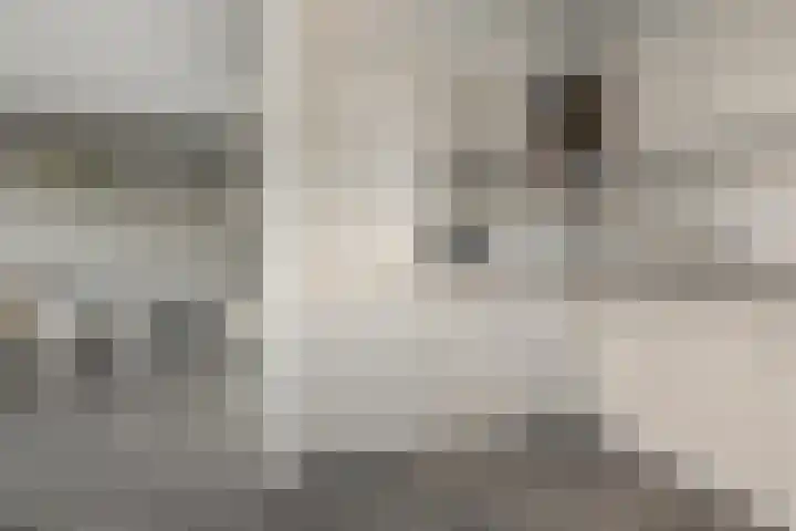 Dirk Bakkerhof 24 Heiloo thumbnail 8