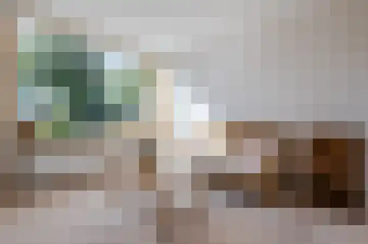 Dirk Bavolaan 34 Bodegraven thumbnail 10