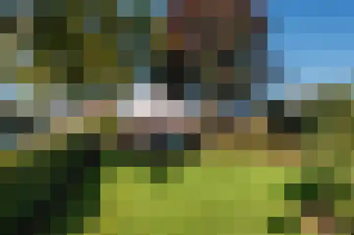 Dirk Bavolaan 34 Bodegraven thumbnail 33