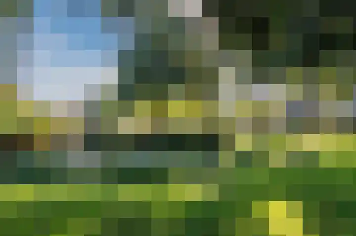 Dirk Bavolaan 34 Bodegraven thumbnail 34