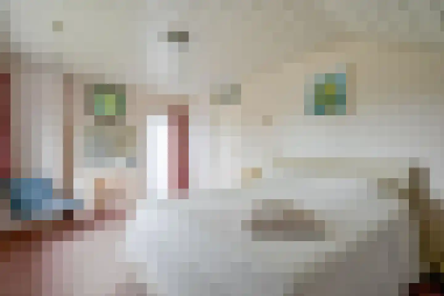 Dirk Bijvoetweg 10 Wervershoof thumbnail 35