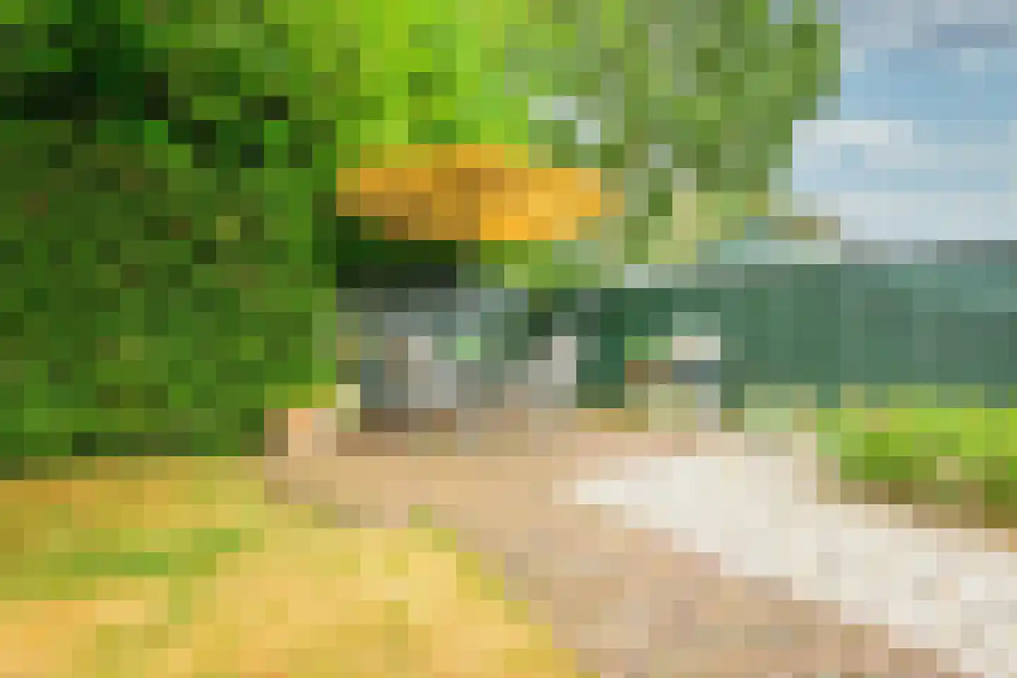 Dirk Bijvoetweg 10 Wervershoof thumbnail 44