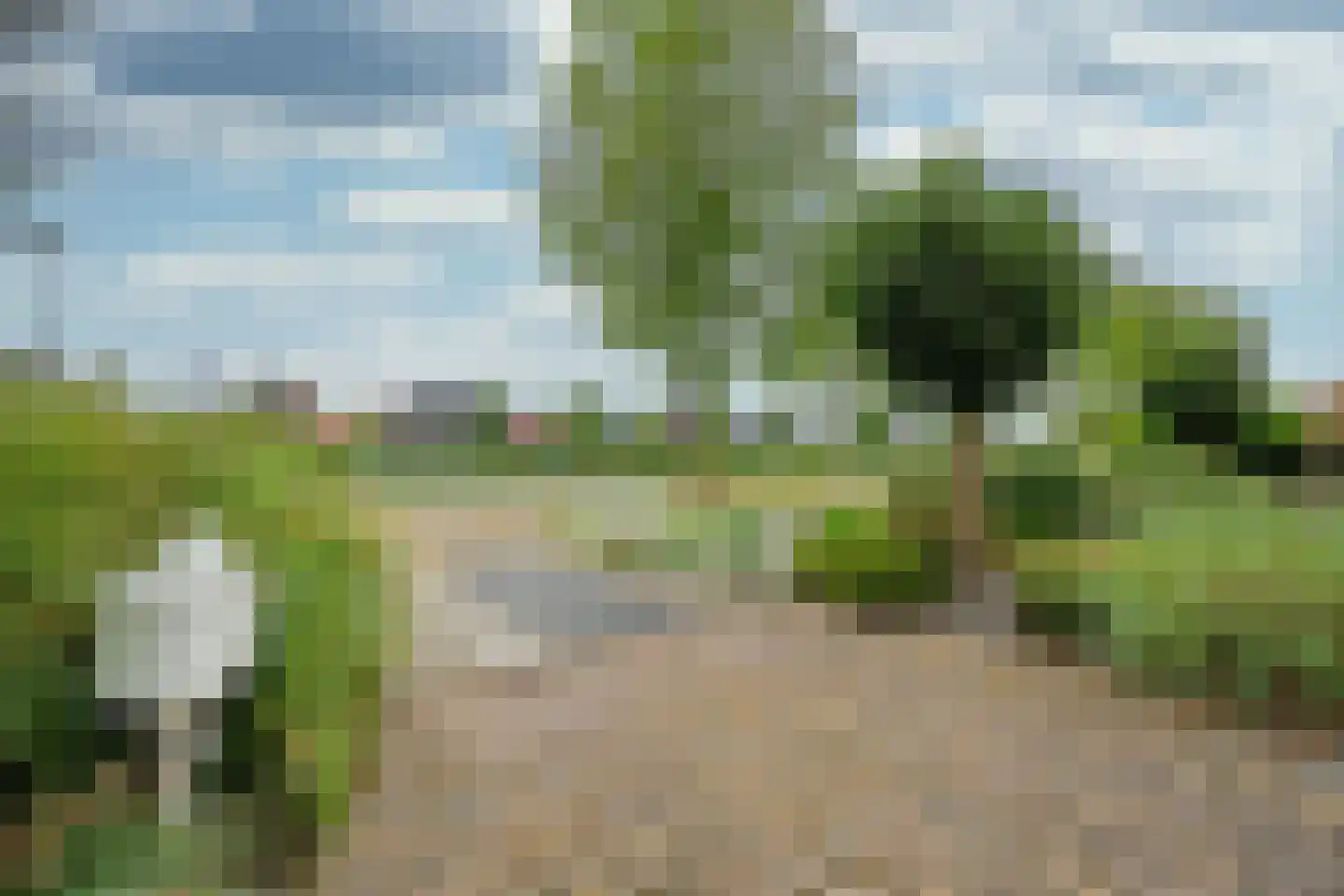 Dirk Bijvoetweg 10 Wervershoof thumbnail 49