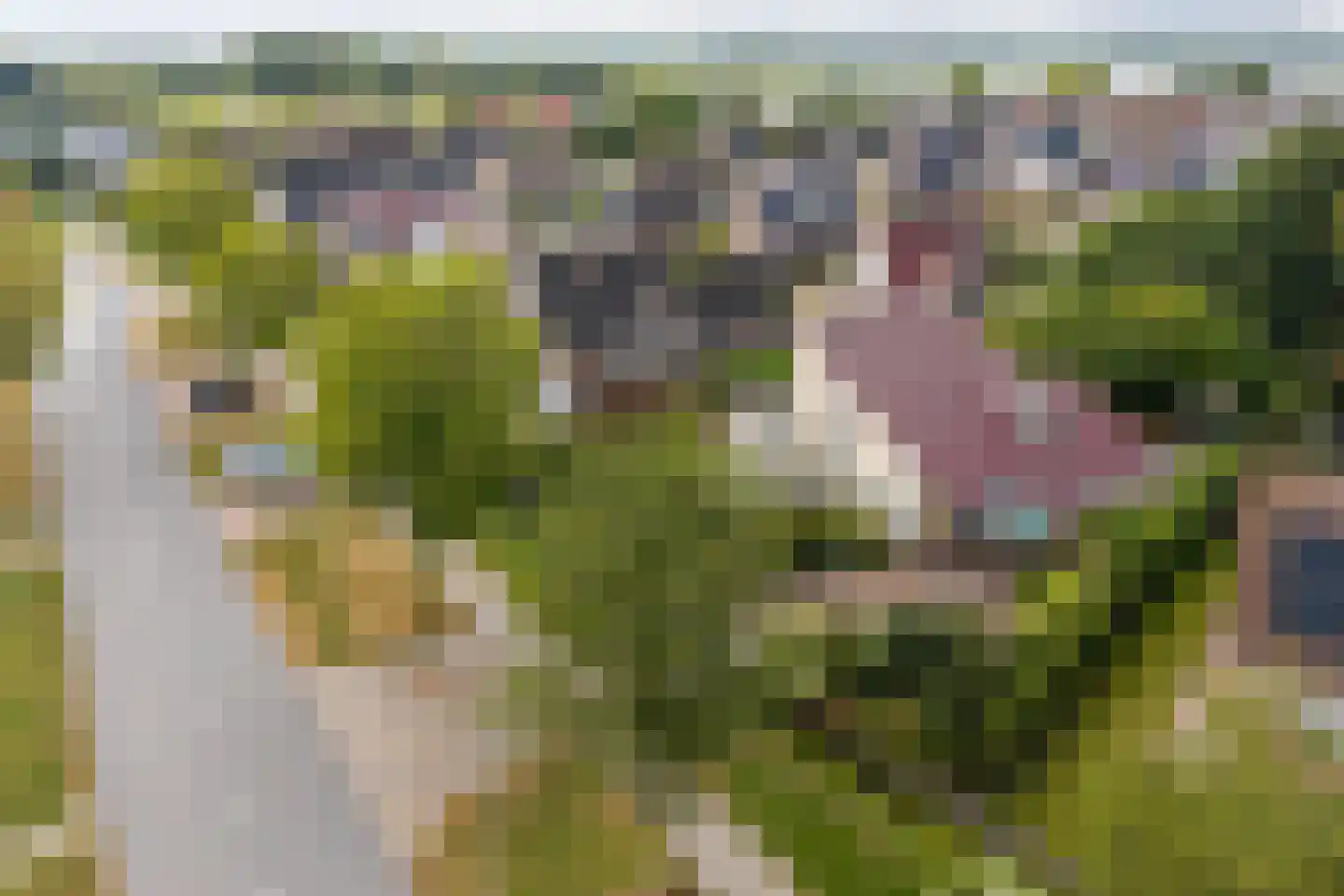 Dirk Bijvoetweg 10 Wervershoof thumbnail 52