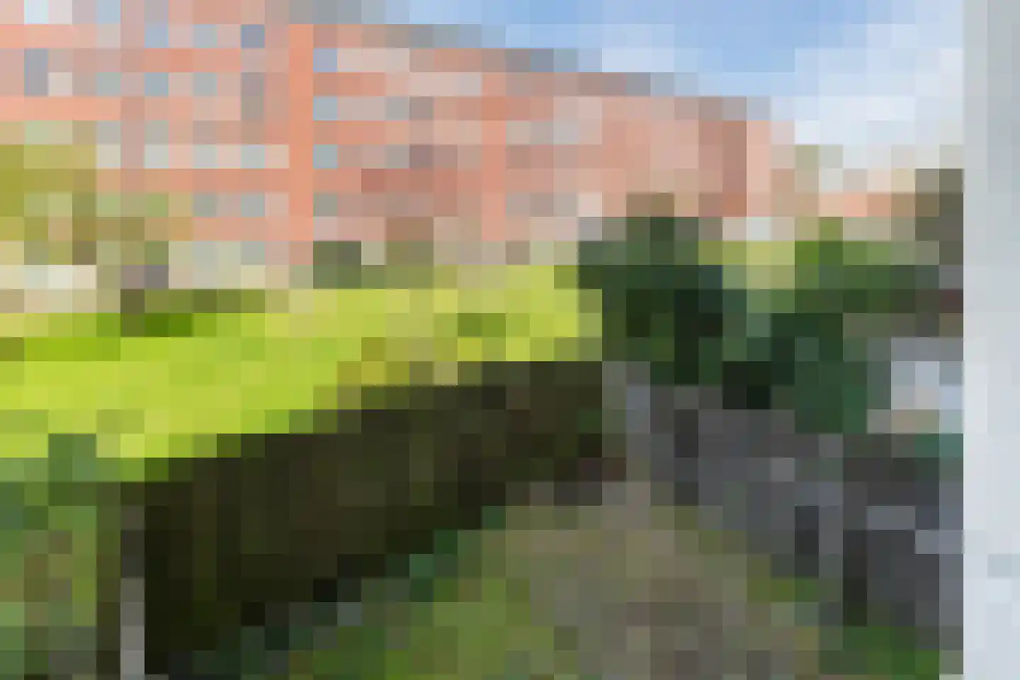 Dirk Bonsstraat 14 1 Amsterdam thumbnail 16