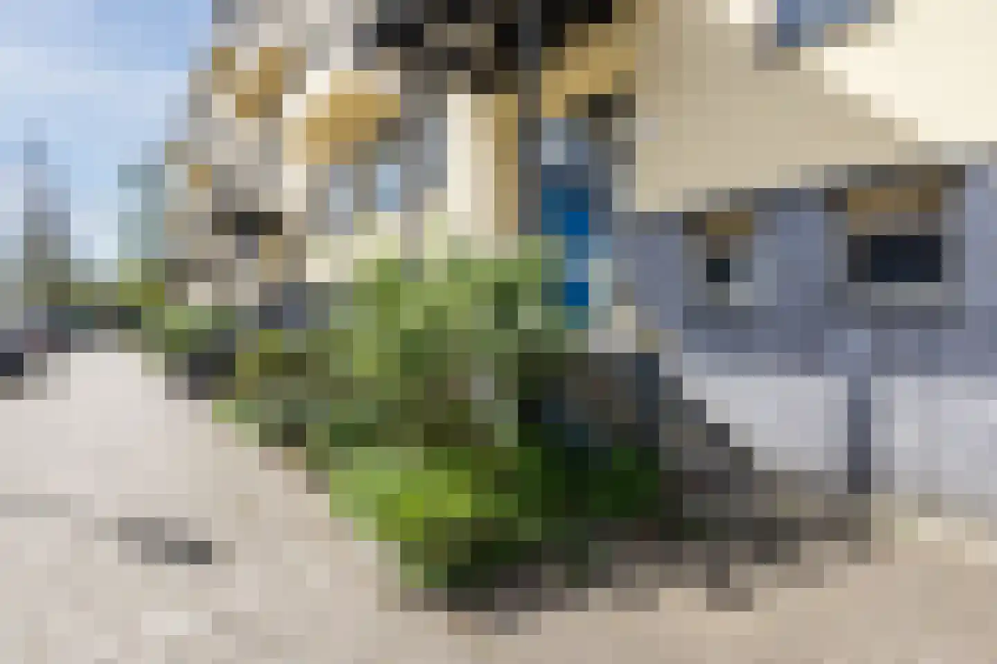 Dirk Bonsstraat 14 2 Amsterdam thumbnail 4