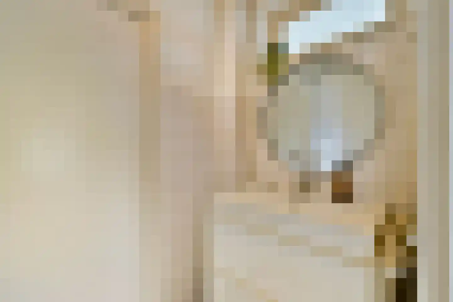 Dirk Bonsstraat 2 H Amsterdam thumbnail 15