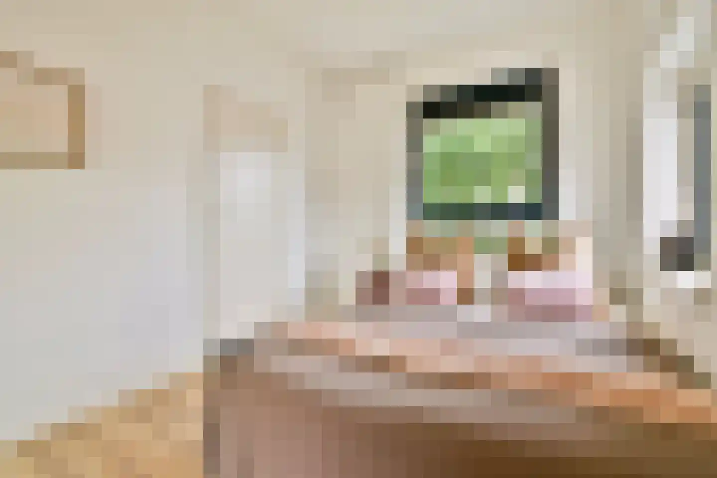 Dirk Bonsstraat 2 H Amsterdam thumbnail 9