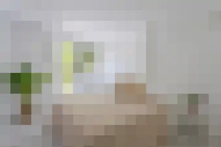 Dirk Bonsstraat 24 2 Amsterdam thumbnail 16