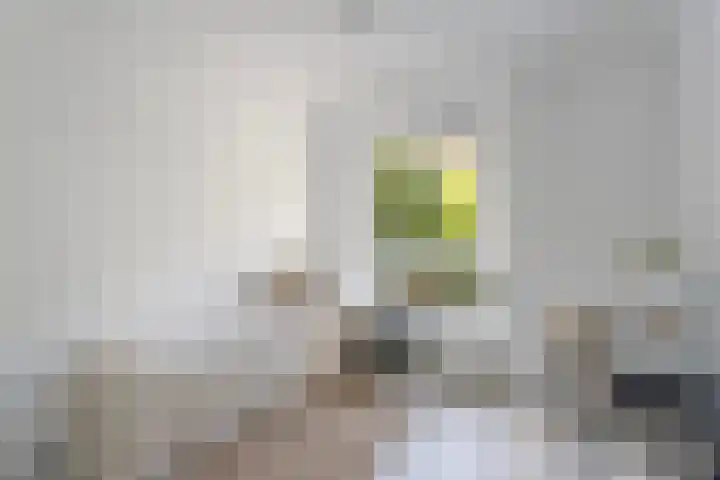 Dirk Bonsstraat 24 2 Amsterdam thumbnail 18