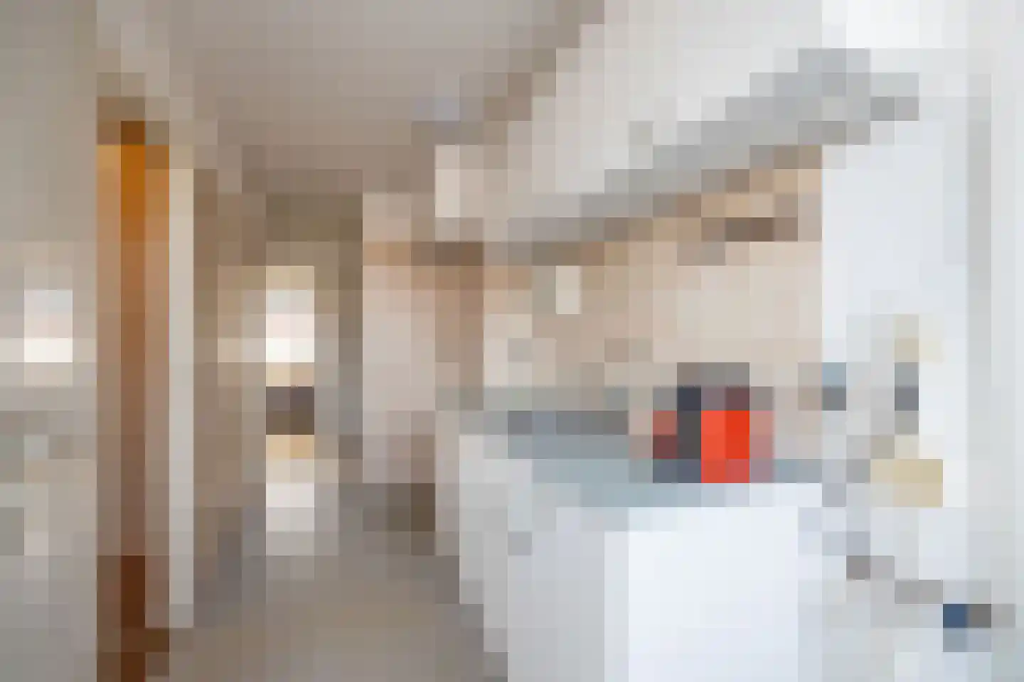 Dirk Bonsstraat 26 3 Amsterdam thumbnail 11