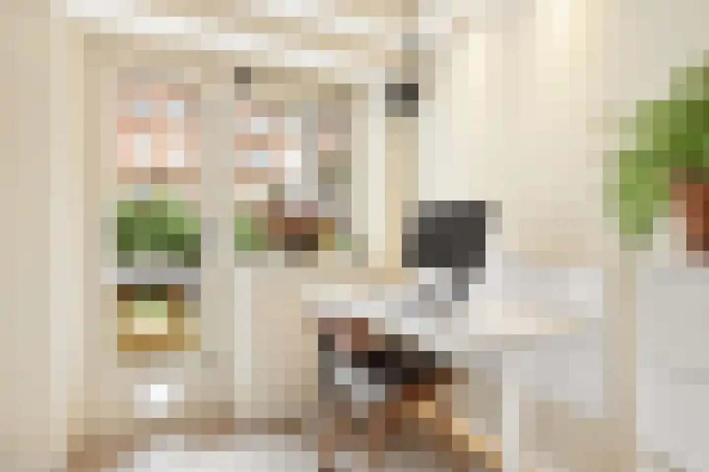 Dirk Bonsstraat 4 1 Amsterdam thumbnail 28