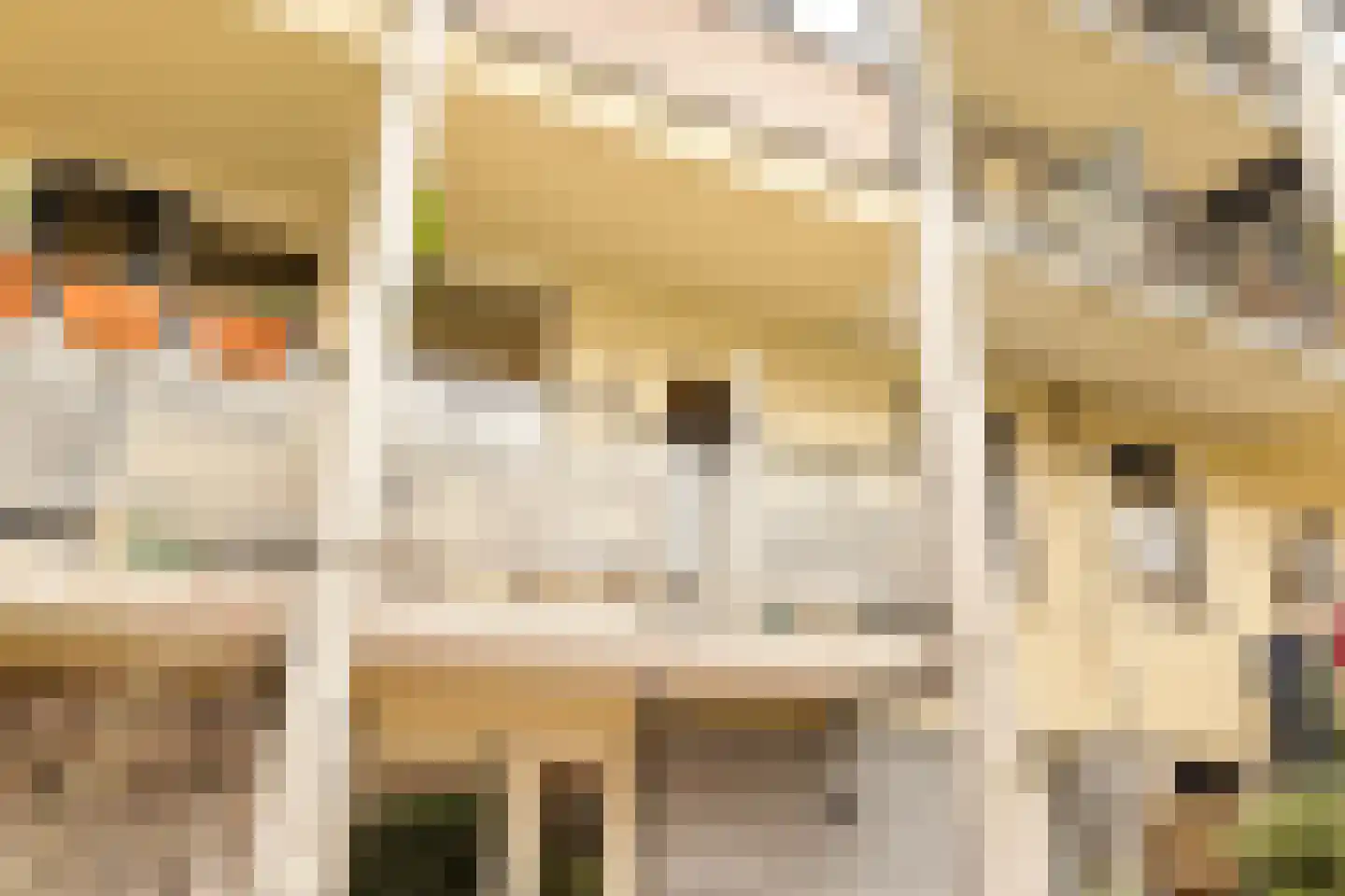 Dirk Bonsstraat 4 1 Amsterdam thumbnail 46