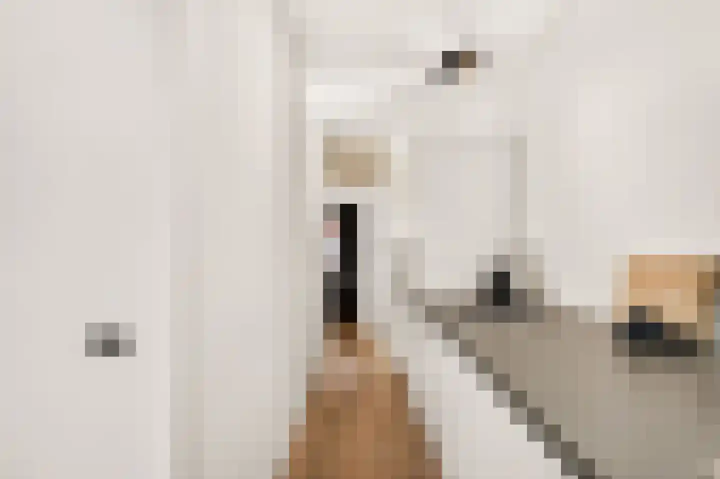 Dirk Bonsstraat 6 1 Amsterdam thumbnail 23