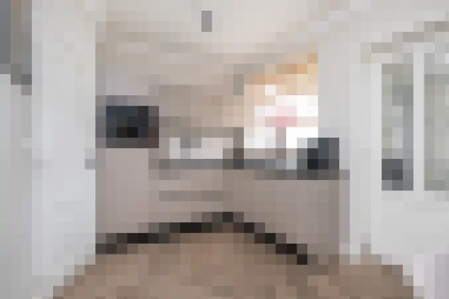 Dirk Bosstraat 18 Middelharnis thumbnail 10