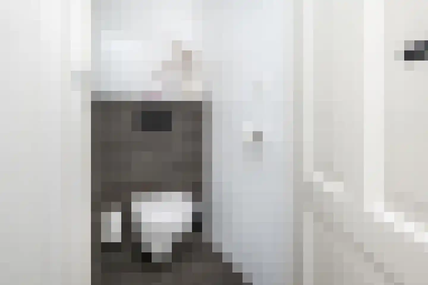 Dirk Bosstraat 18 Middelharnis thumbnail 15