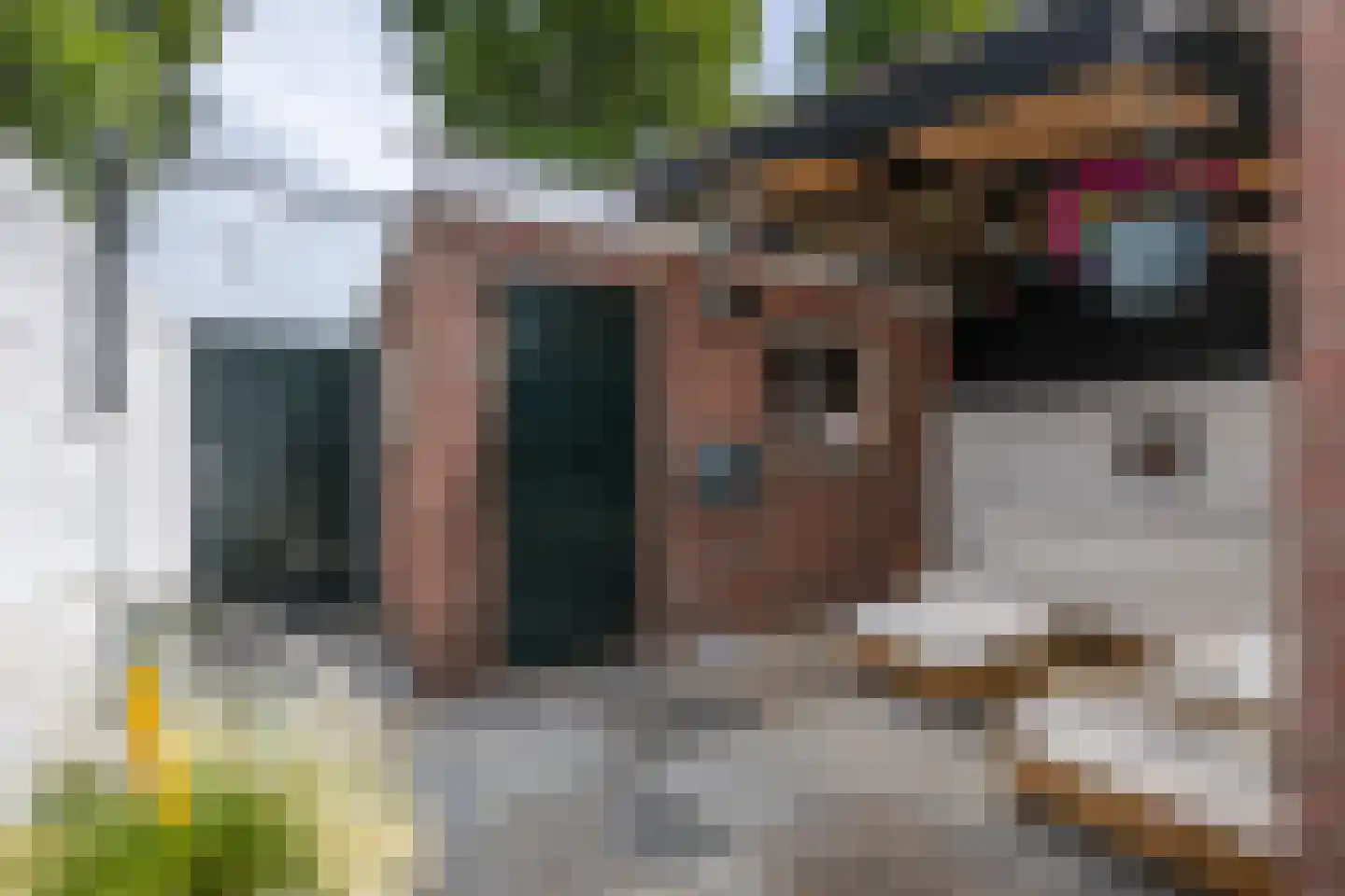 Dirk Bosstraat 18 Middelharnis thumbnail 22