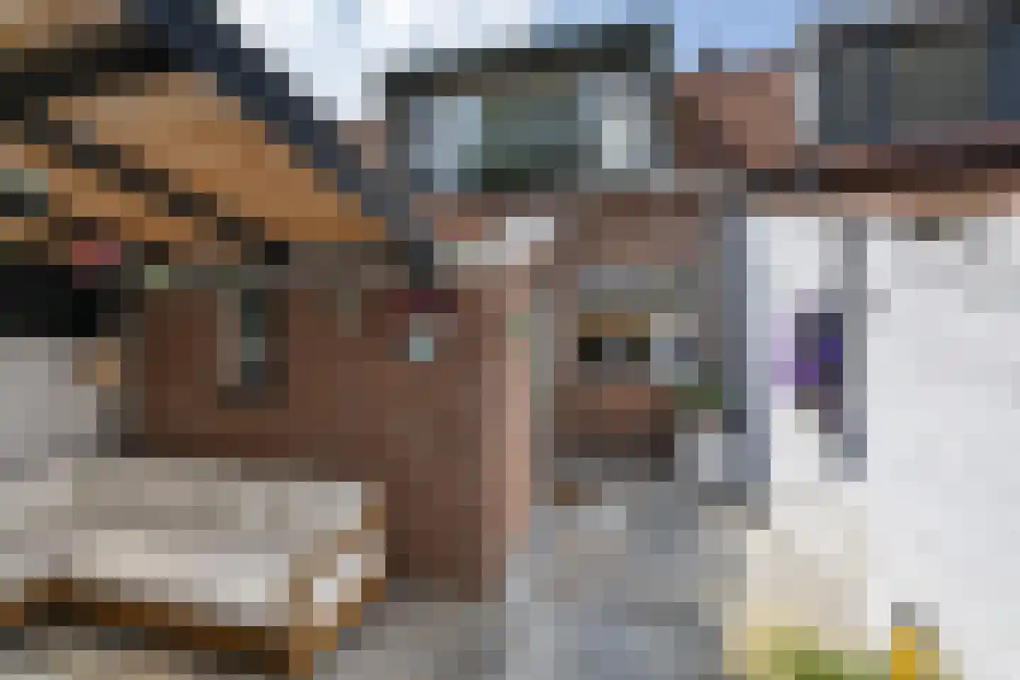 Dirk Bosstraat 18 Middelharnis thumbnail 24