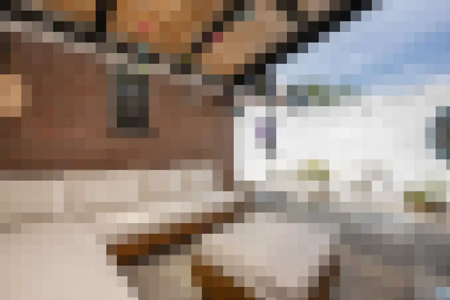 Dirk Bosstraat 18 Middelharnis thumbnail 25