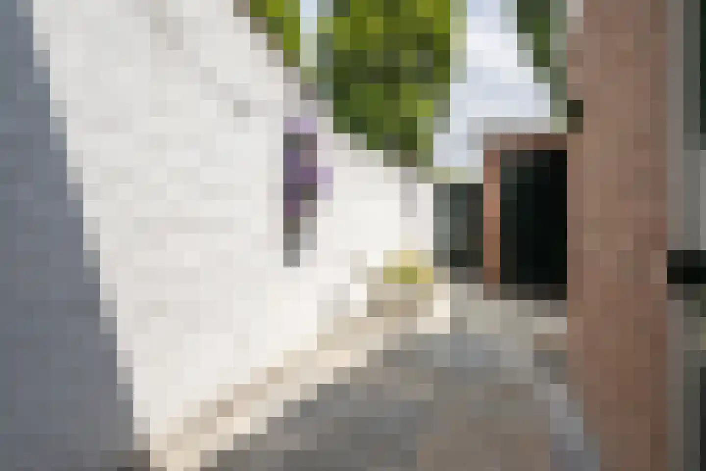 Dirk Bosstraat 18 Middelharnis thumbnail 26