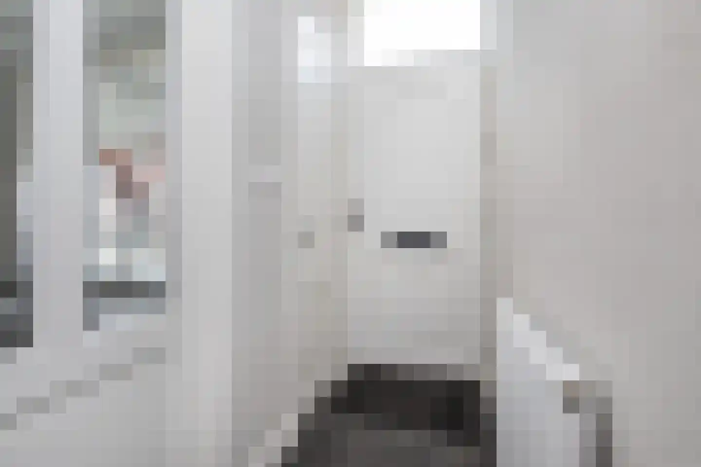 Dirk Bosstraat 18 Middelharnis thumbnail 4
